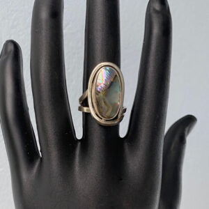 Anel abalone