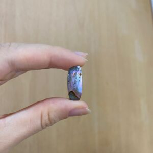 Abalone oval