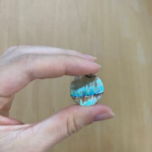 Abalone - redondo 19mm